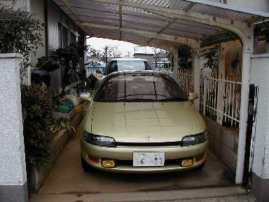 sera01.jpg (18145 �o�C�g)