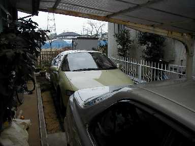 sera02.jpg (15410 �o�C�g)